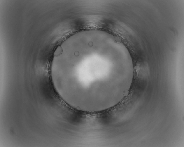 X0000113170423200909181836