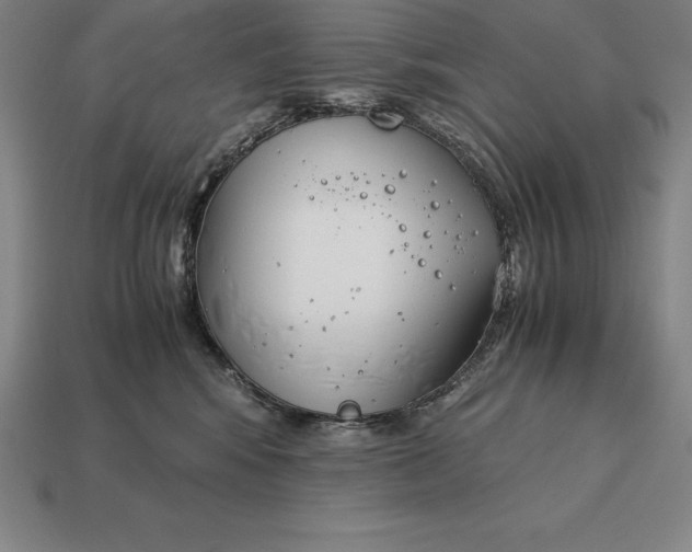 X0000113170424200909181836