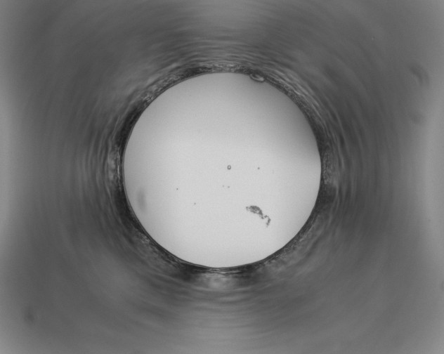 X0000113170425200909181836