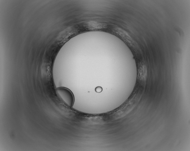 X0000113170426200909181836