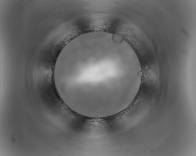 X0000113170427200909181836