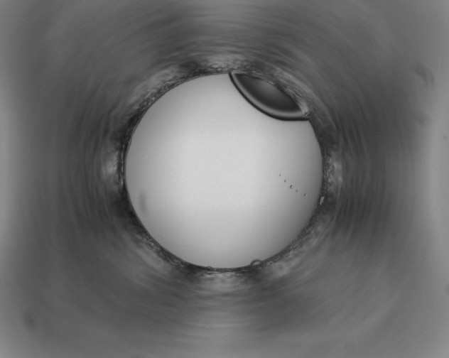 X0000113170428200909181836