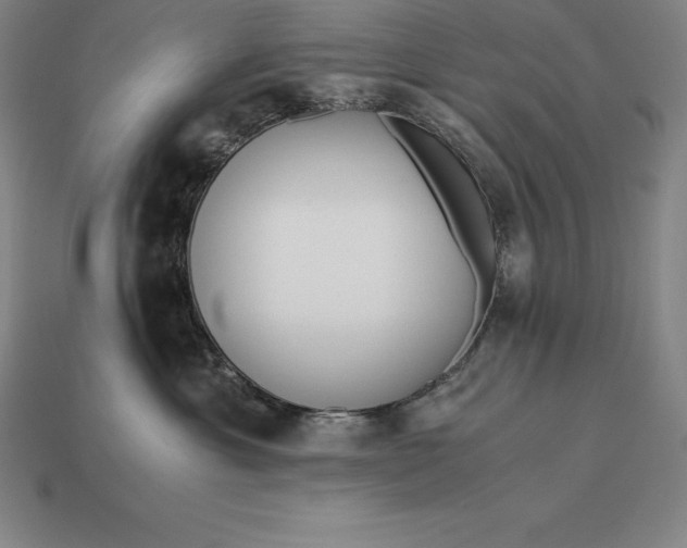 X0000113170429200909181836