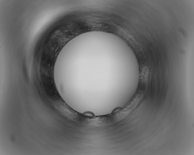 X0000113170430200909181836