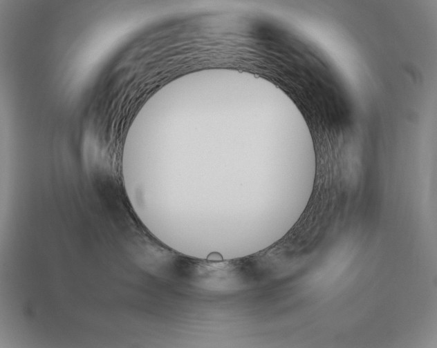 X0000113170431200909181836