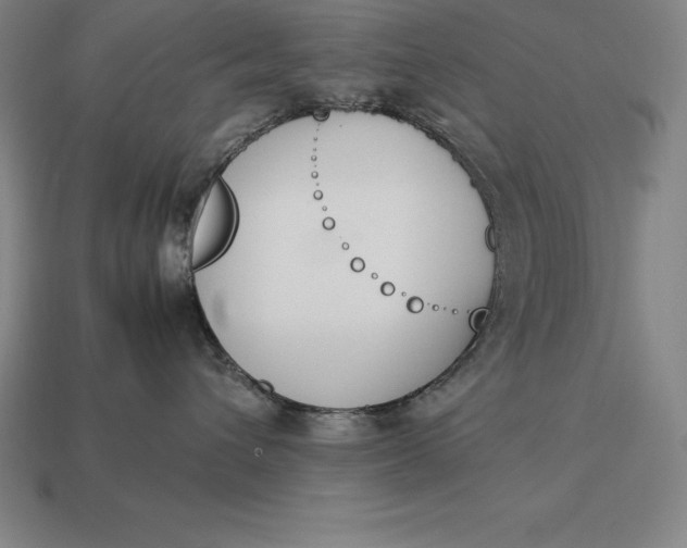 X0000113170432200909181836