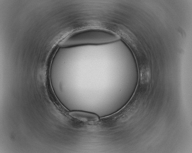 X0000113170436200909181835