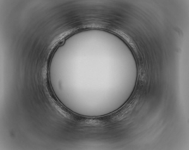 X0000113170437200909181835