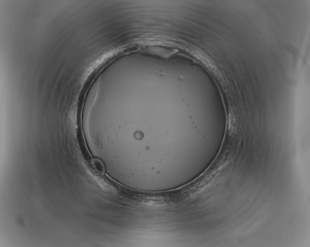 X0000113170438200909181835