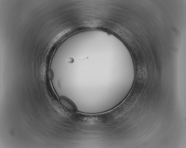 X0000113170440200909181835