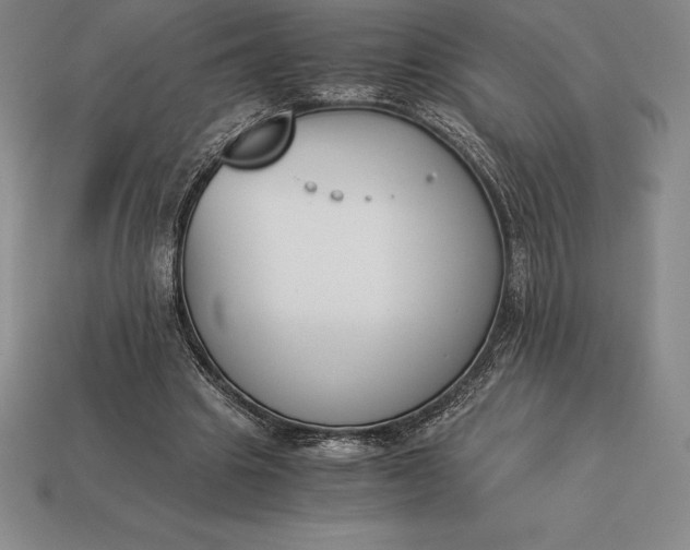 X0000113170441200909181835