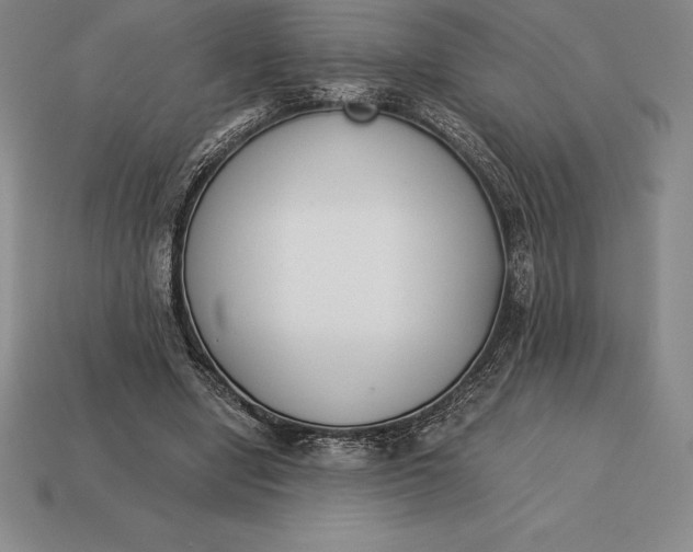 X0000113170442200909181835