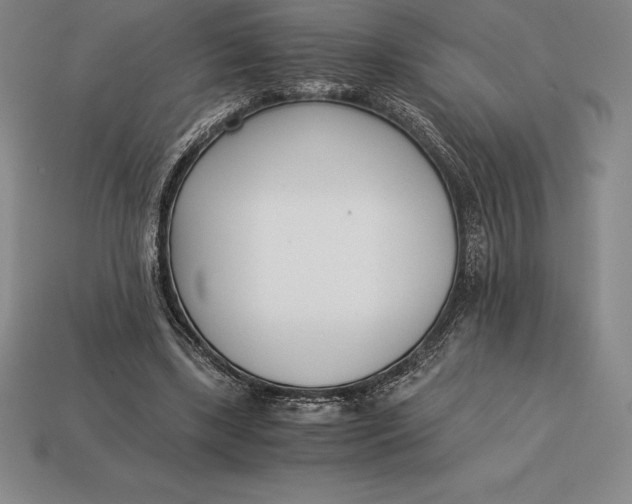 X0000113170443200909181835