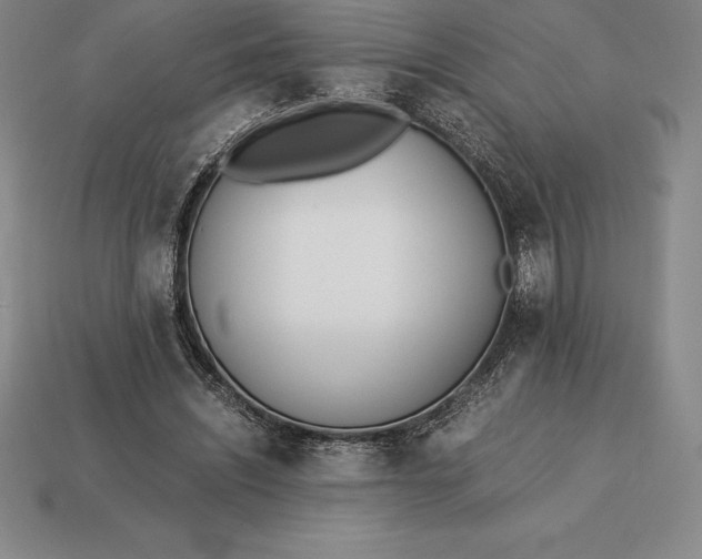 X0000113170444200909181835