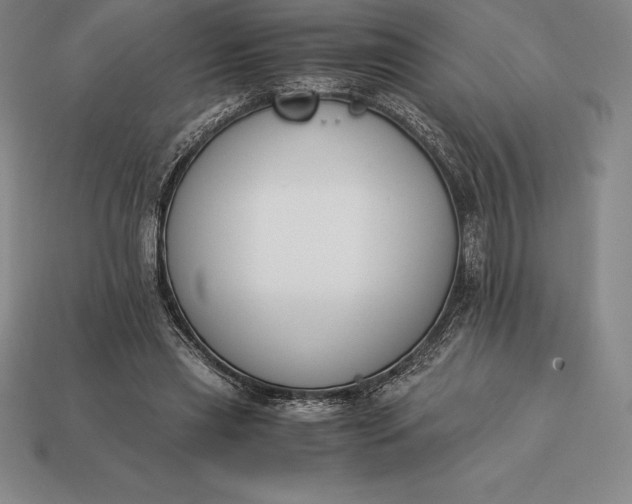 X0000113170445200909181835