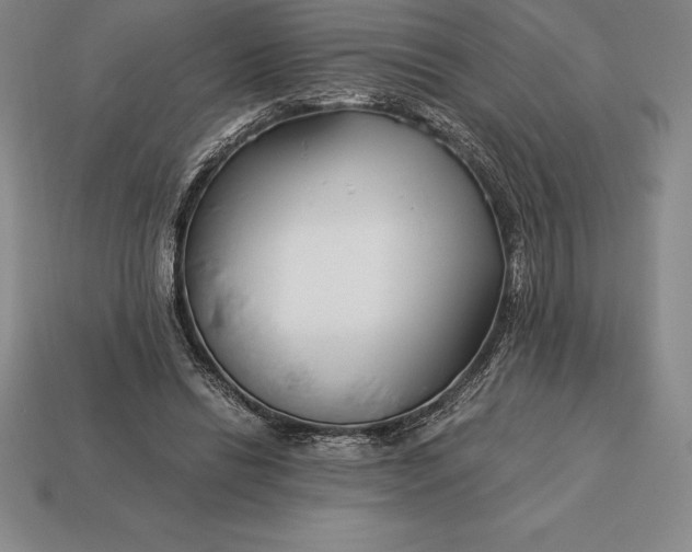 X0000113170446200909181835