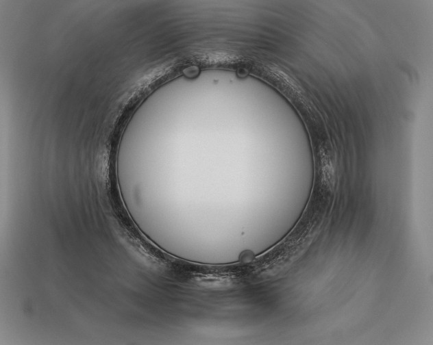 X0000113170447200909181835