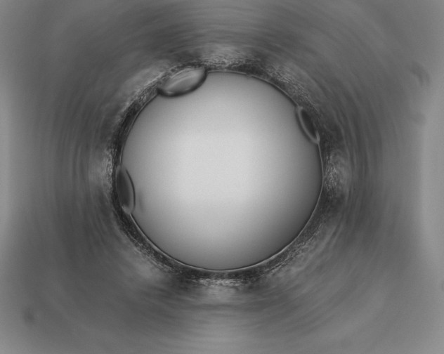 X0000113170448200909181835