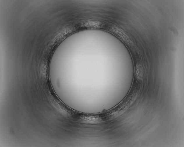 X0000113170449200909181835