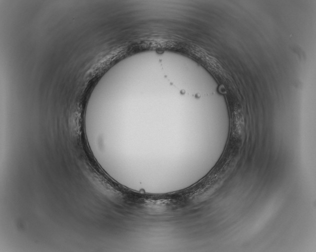 X0000113170450200909181835