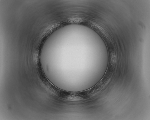 X0000113170451200909181835