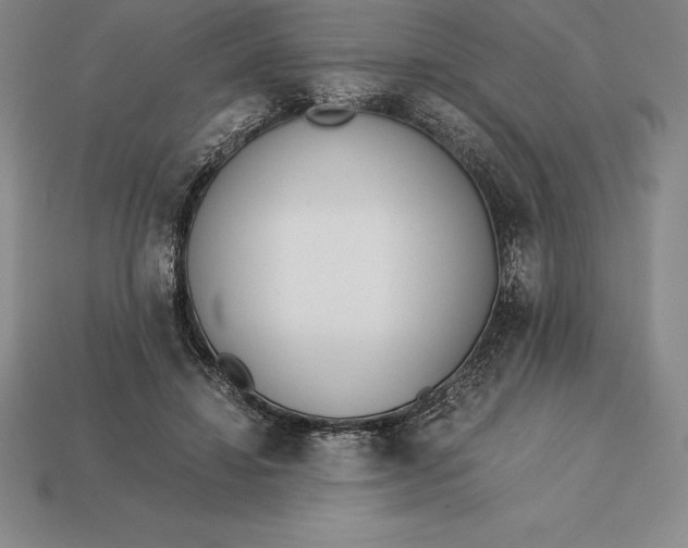 X0000113170452200909181835