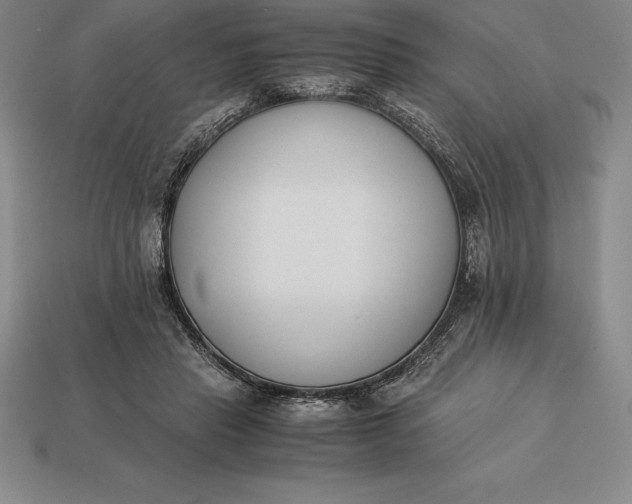 X0000113170453200909181835