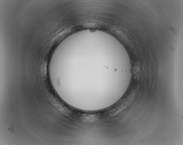 X0000113170454200909181835