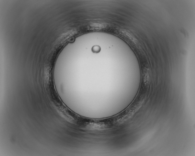 X0000113170455200909181835