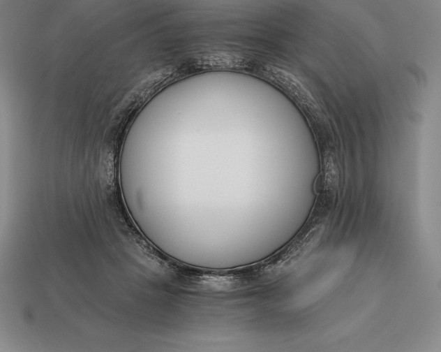 X0000113170457200909181835