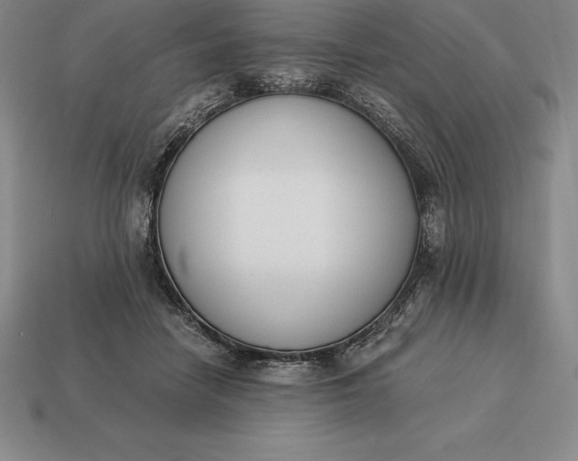 X0000113170458200909181835