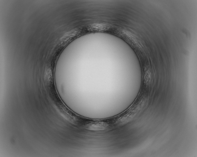 X0000113170459200909181835