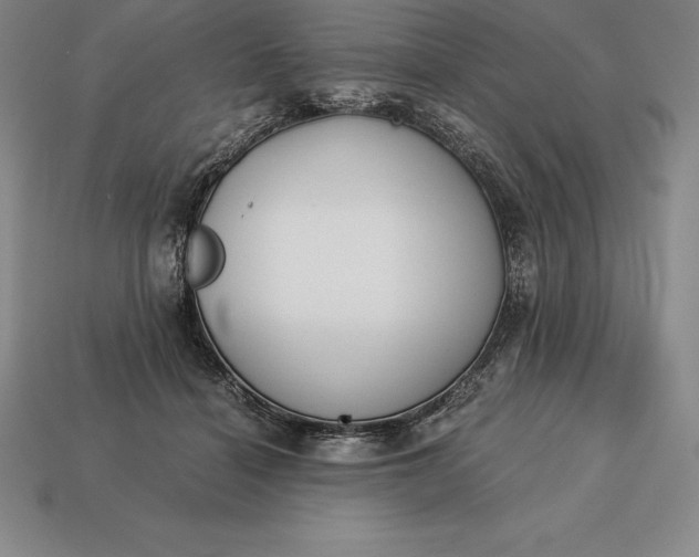 X0000113170460200909181835