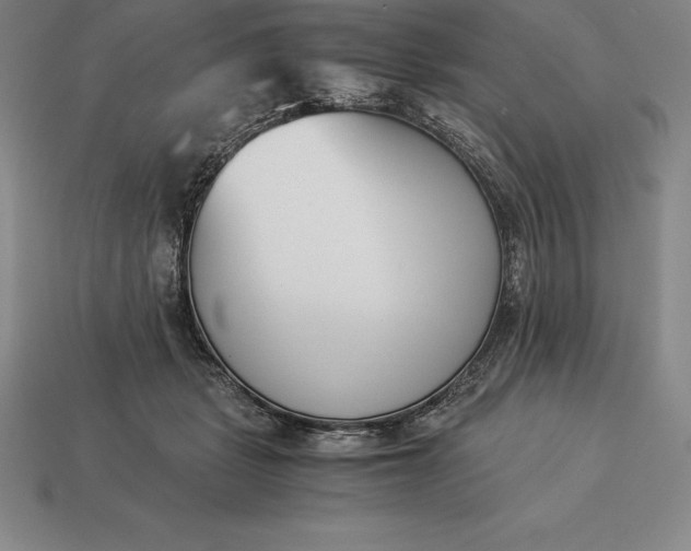 X0000113170461200909181835