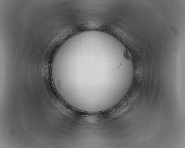 X0000113170462200909181835