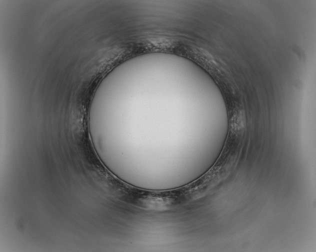 X0000113170464200909181835