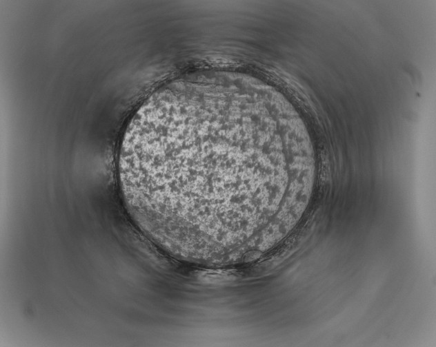 X0000113170465200909181835