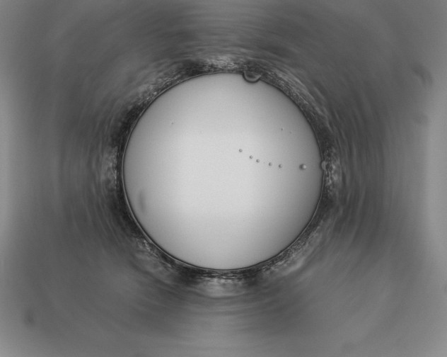 X0000113170466200909181835