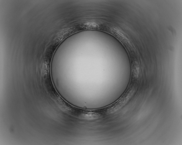 X0000113170467200909181835