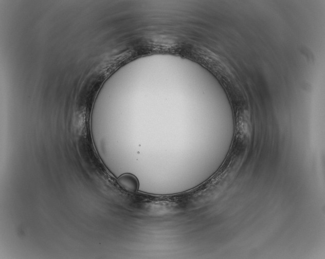 X0000113170468200909181835