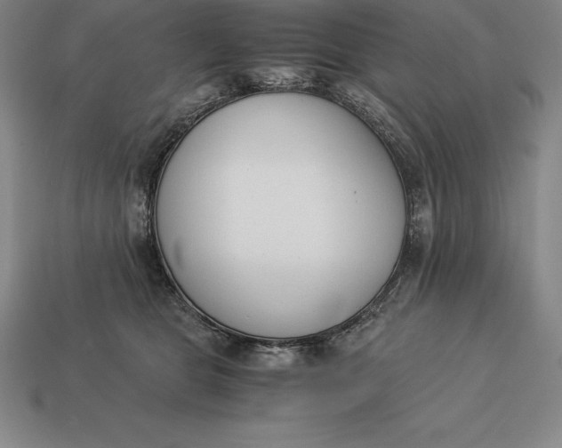 X0000113170469200909181835