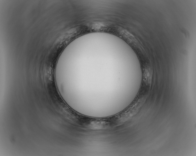 X0000113170470200909181836