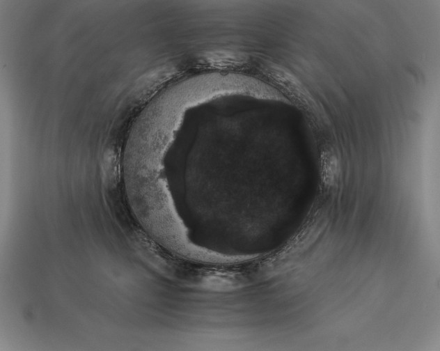 X0000113170471200909181836