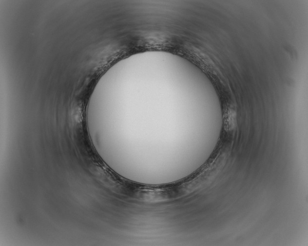 X0000113170472200909181836