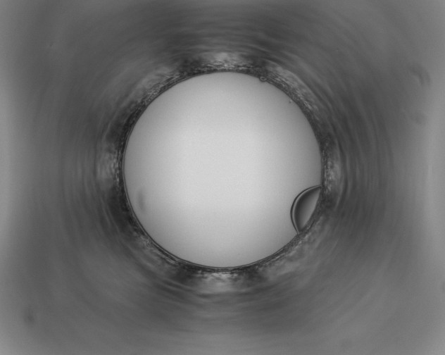 X0000113170473200909181836