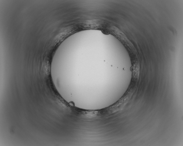 X0000113170474200909181836