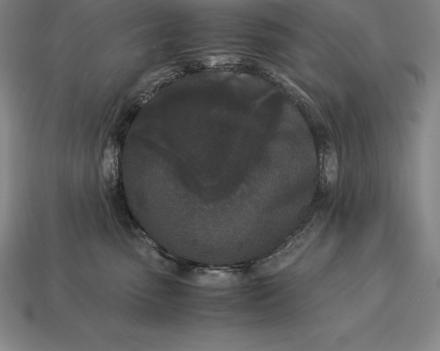 X0000113170475200909181836