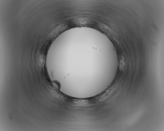 X0000113170476200909181836