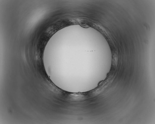 X0000113170477200909181836