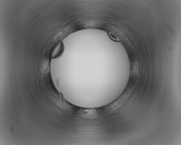 X0000113170478200909181836